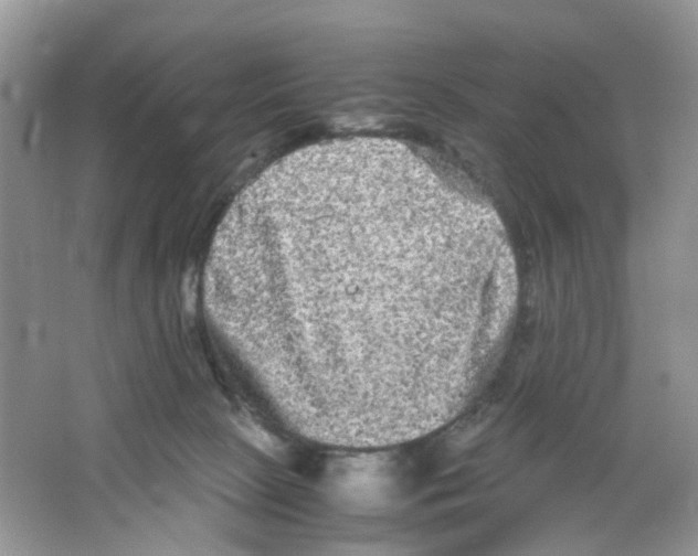 X0000063500081200602172130