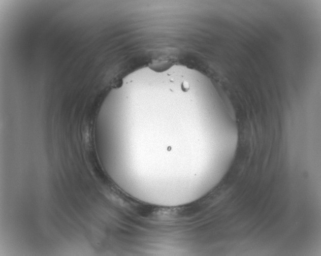 X0000063500084200602172130