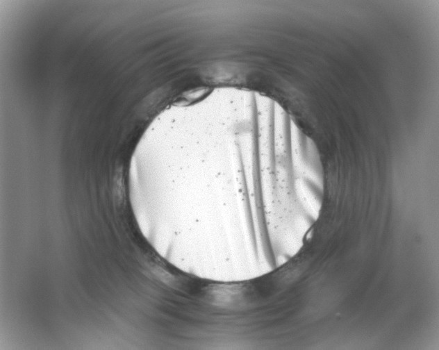 X0000063500085200602172130