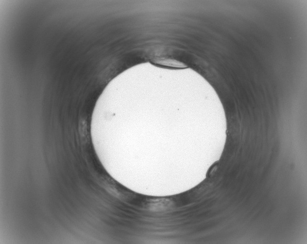 X0000063500087200602172130