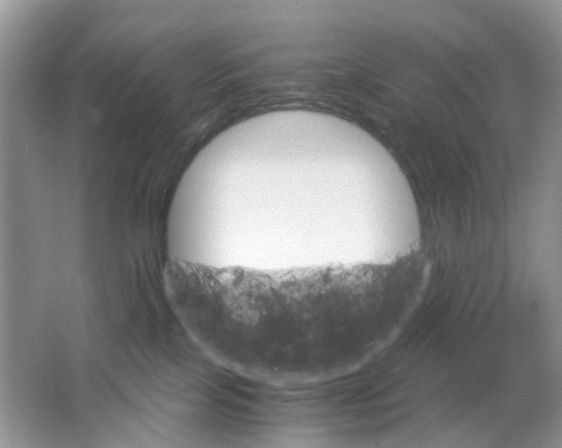 X0000063500089200602172130