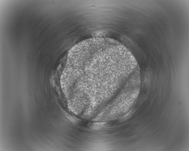 X0000063500090200602172130