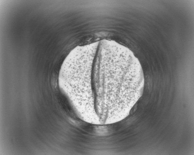 X0000063500091200602172130