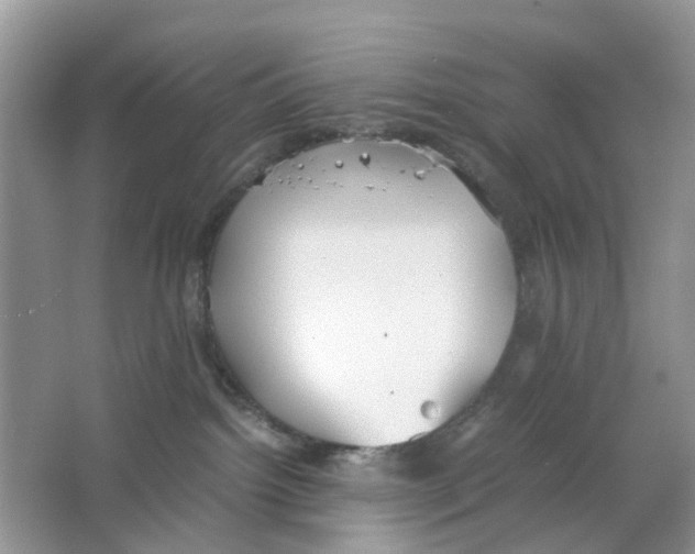 X0000063500092200602172130