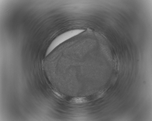 X0000063500093200602172130