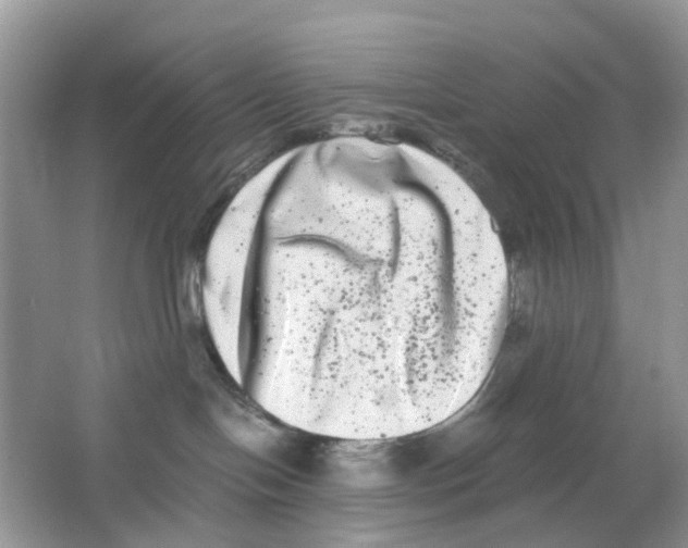 X0000063500094200602172130