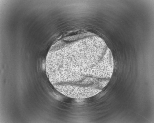 X0000063500095200602172130