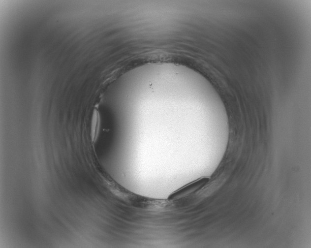 X0000063500096200602172131