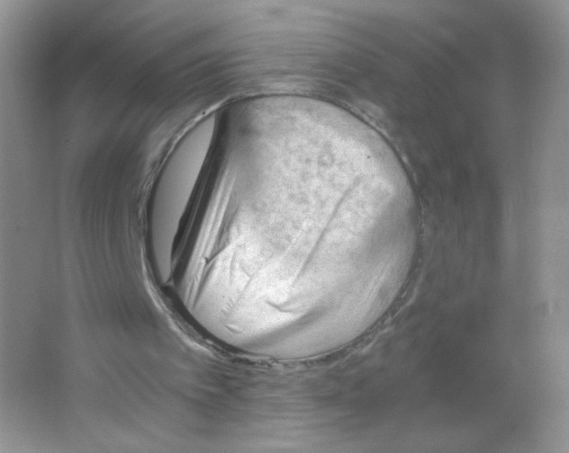 X0000063500097200602172130