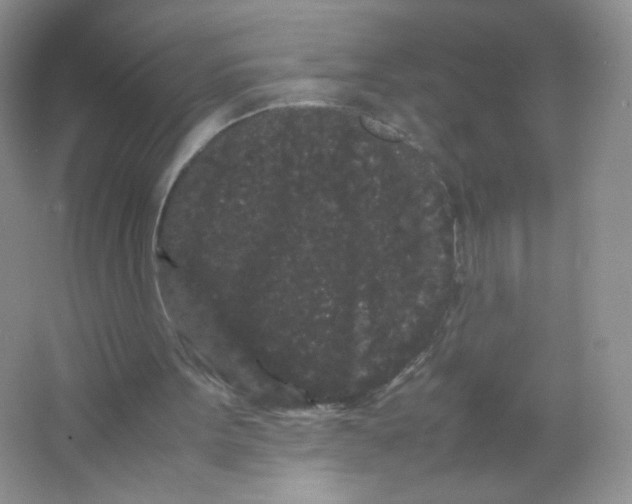 X0000063500099200602172130