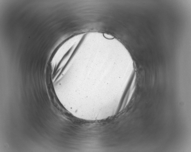 X0000063500100200602172130