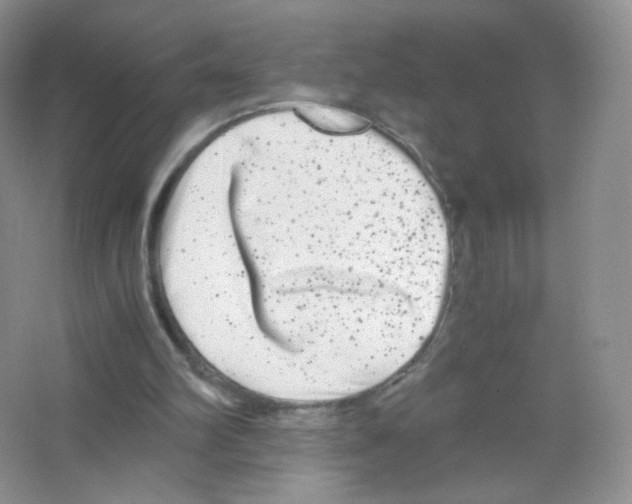 X0000063500102200602172130