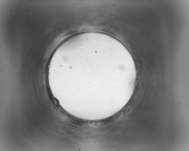 X0000063500103200602172130