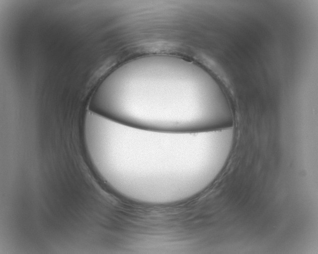 X0000063500105200602172130