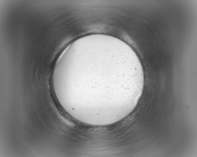 X0000063500106200602172130