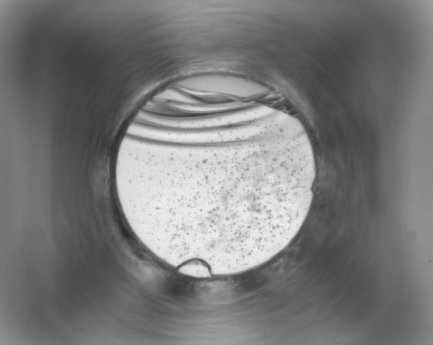 X0000063500107200602172129