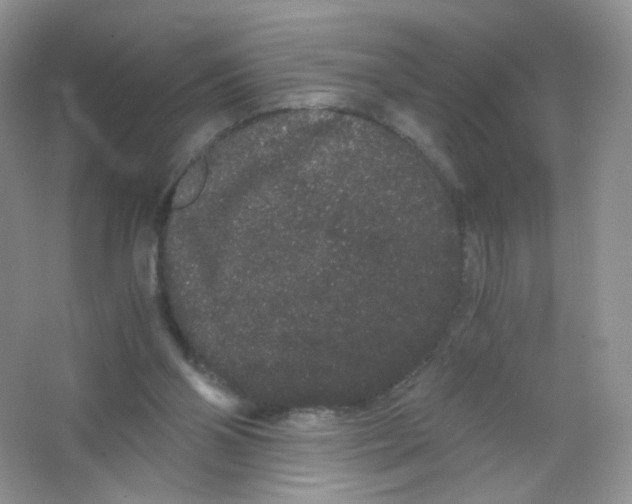 X0000063500110200602172129