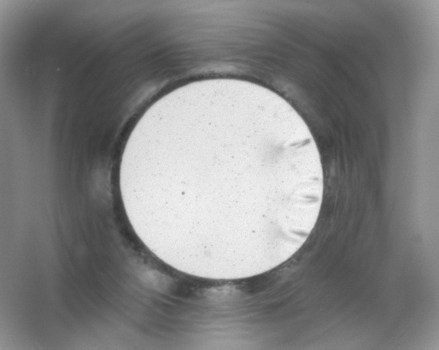 X0000063500112200602172129