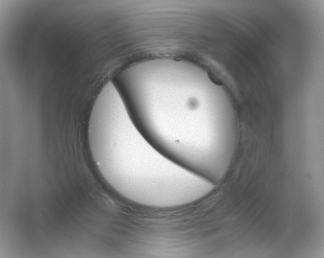 X0000063500113200602172129