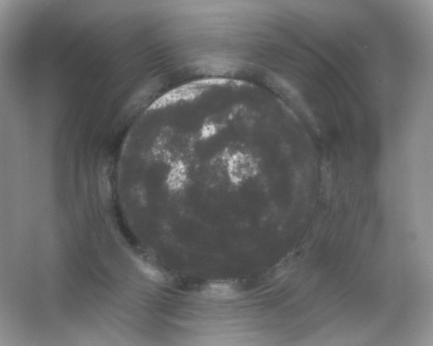 X0000063500114200602172129