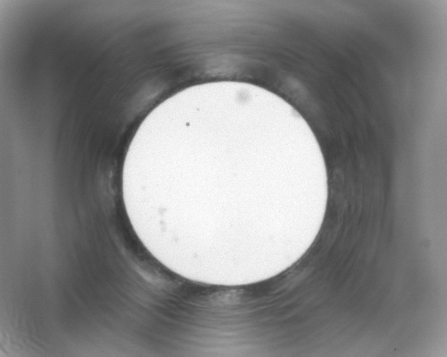 X0000063500116200602172129