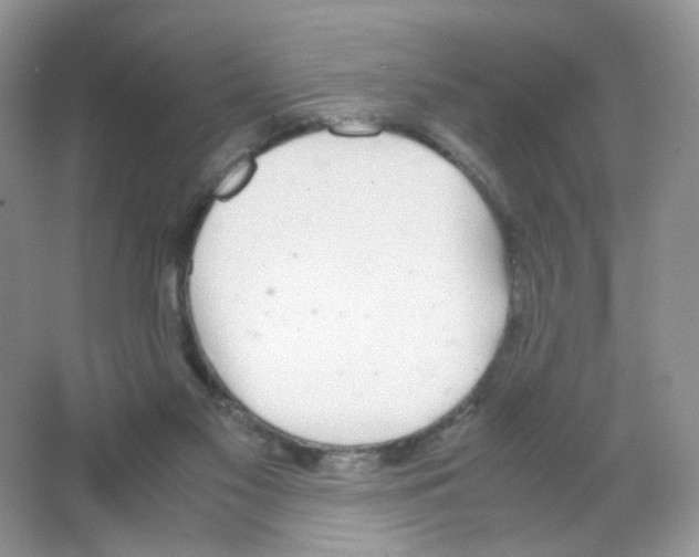 X0000063500117200602172129