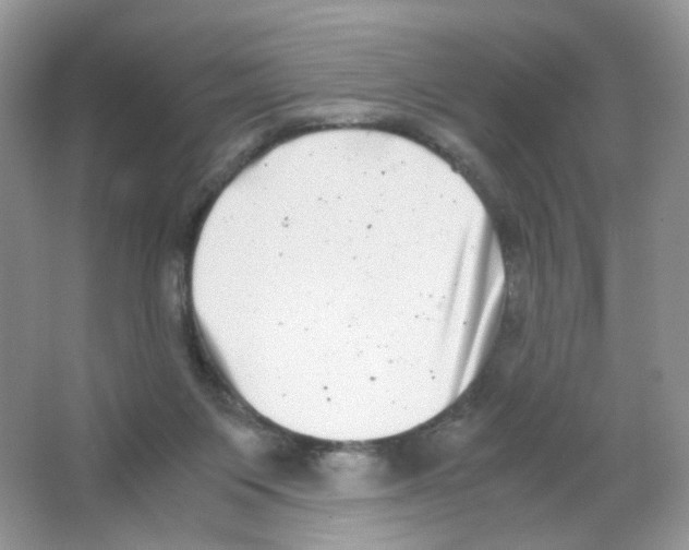 X0000063500119200602172129