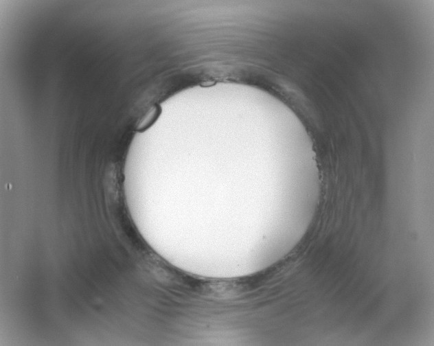 X0000063500121200602172129