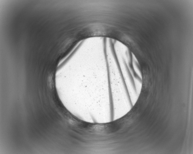 X0000063500123200602172129