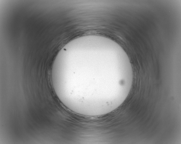 X0000063500125200602172129