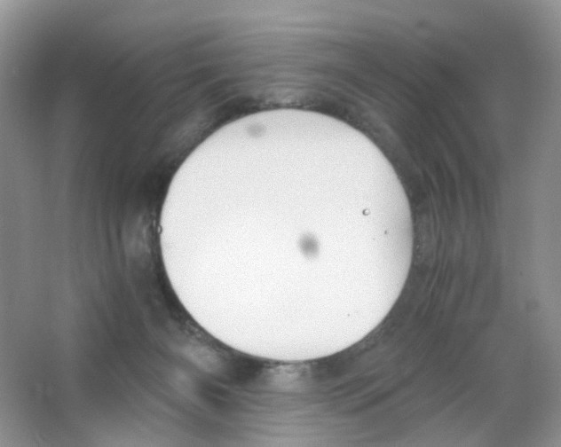 X0000063500126200602172129