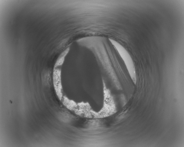 X0000063500127200602172129