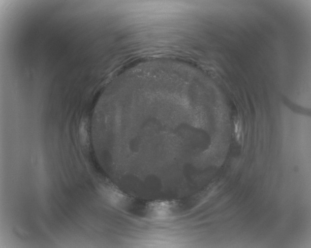 X0000063500131200602172129