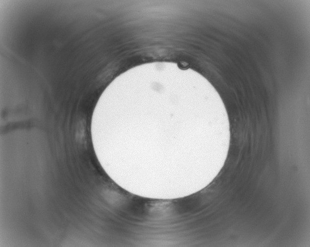 X0000063500132200602172129