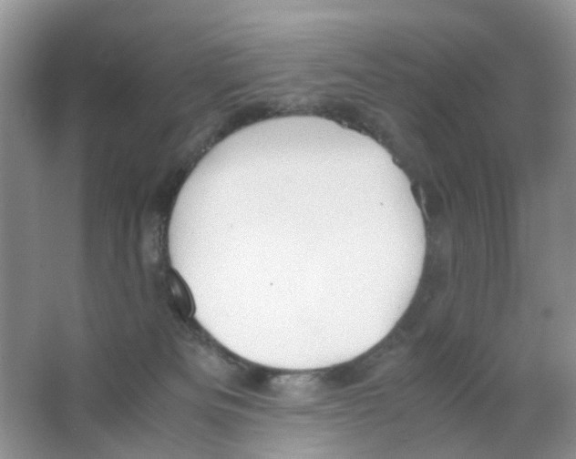 X0000063500133200602172129