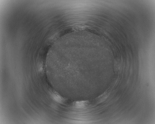 X0000063500134200602172129