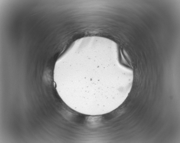 X0000063500135200602172129