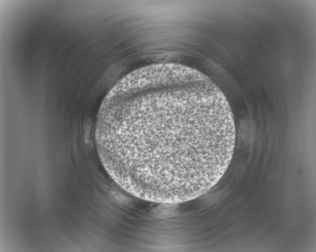 X0000063500138200602172129