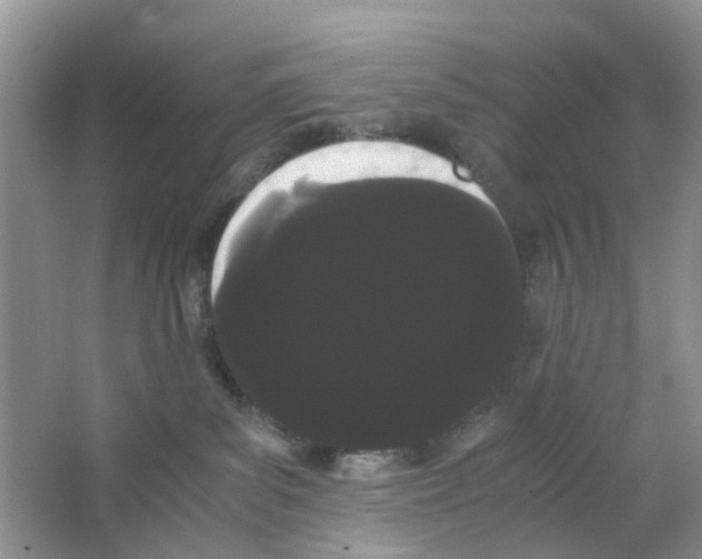 X0000063500139200602172129