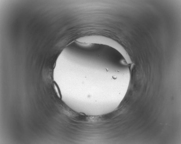 X0000063500141200602172129