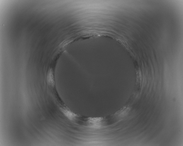 X0000063500143200602172129