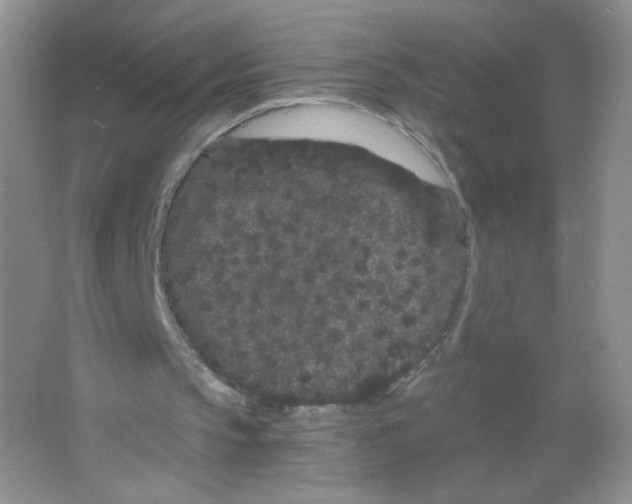 X0000063500145200602172128