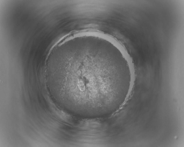 X0000063500146200602172128