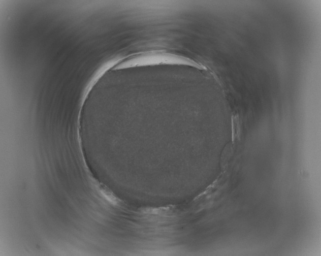 X0000063500147200602172128