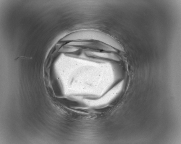 X0000063500148200602172128