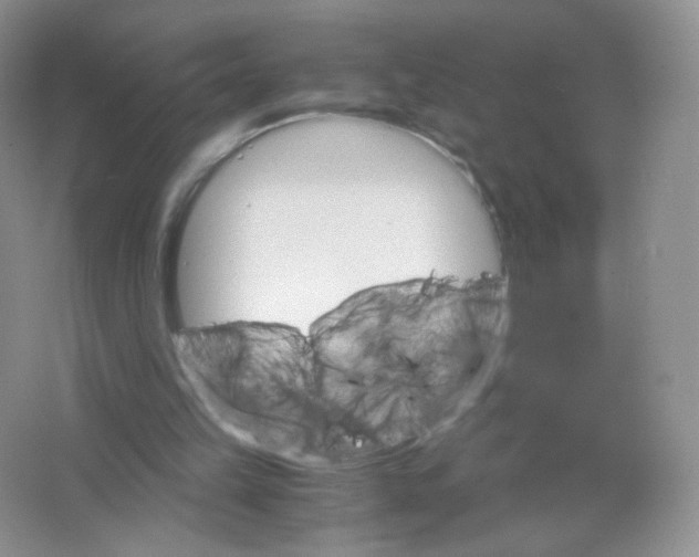 X0000063500149200602172128