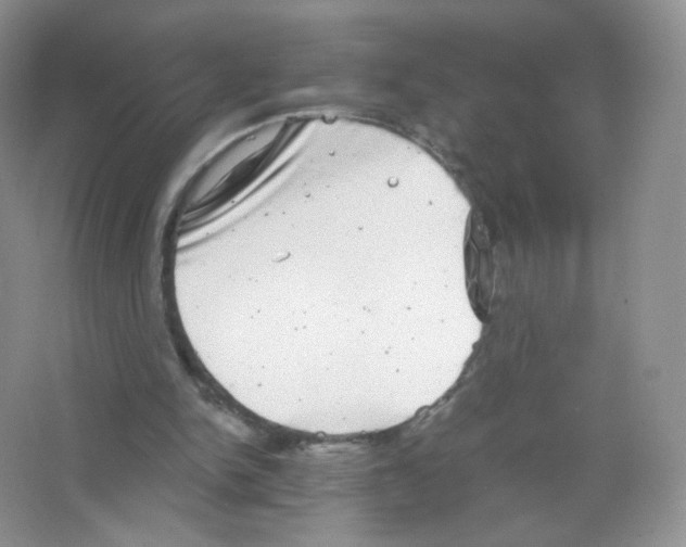 X0000063500150200602172128