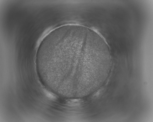 X0000063500151200602172128