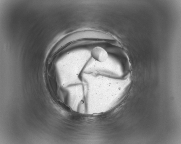 X0000063500152200602172128