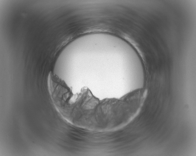 X0000063500153200602172128